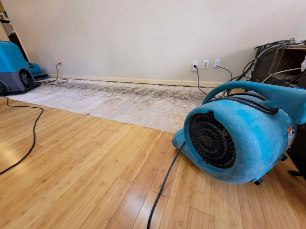 Professional Sewage Cleanup technician working in Laguna Niguel, CA